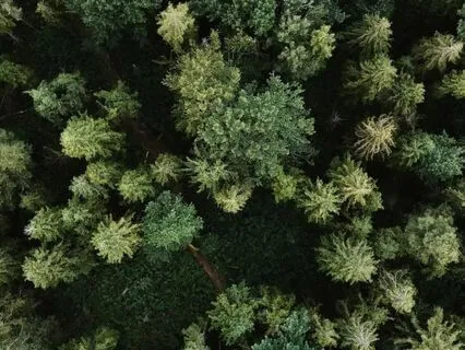 Release Chronic Tension Meditation