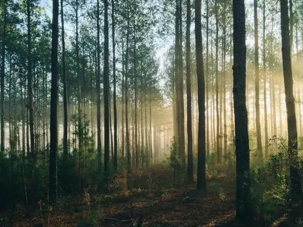 Release Control And Embrace Self Compassion