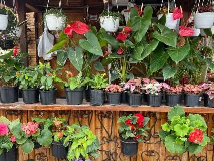 Release Control | Let Go What You Can’t Control Meditation