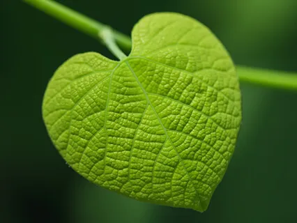 Release Creative Block