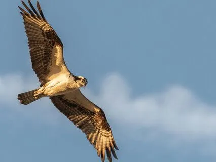 Release Doubts And Fears Meditation