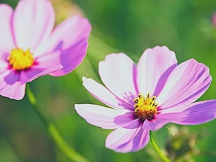 Release Dread, Fear, Horror & Blaming