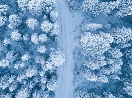 Release Emotional Blockages (639Hz)