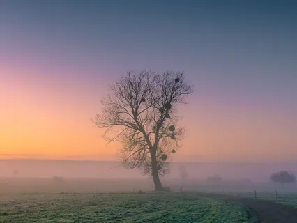 Jaw Meditation. Release Trapped Emotions