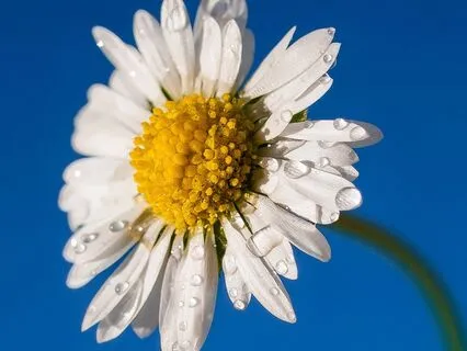 Release Energetic Blocks