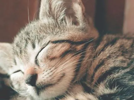 Release Exhaustion