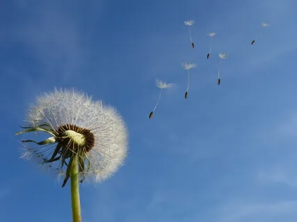 Release Fear And Reduce Stress: Guided Laughter Meditation