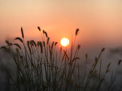 Release Fear, Create Strength