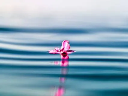 Release Fear Guilt And Emotional Blocks 396 + 2.5Hz Binaural