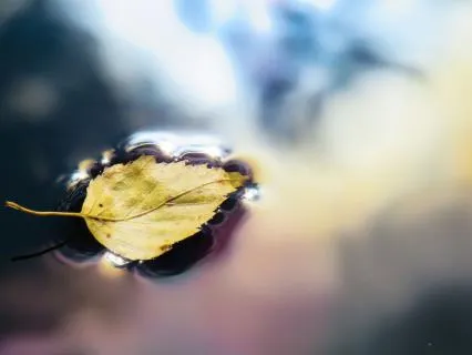 Release Fear