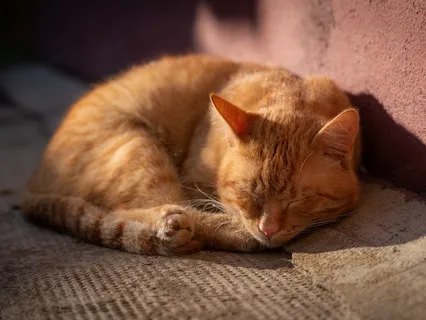 Release FOMO And Be The Main Character Of Your Life!