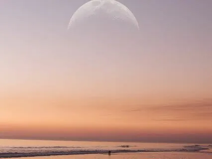 Release For The New Moon