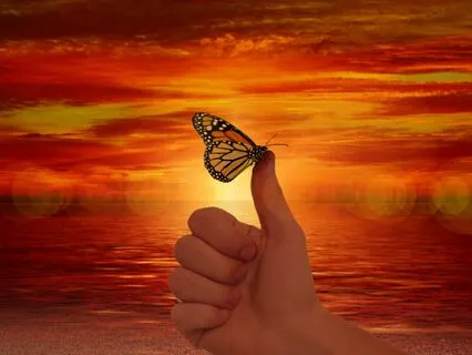 Release From Anxiety