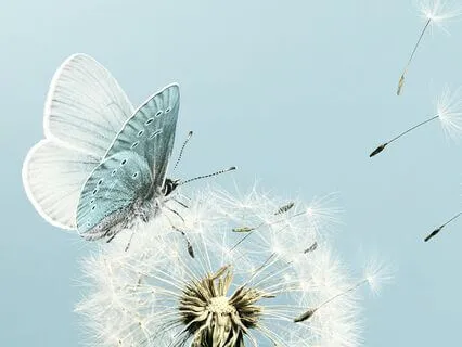 Release Guilt, Embrace Compassion, And Forgive Yourself