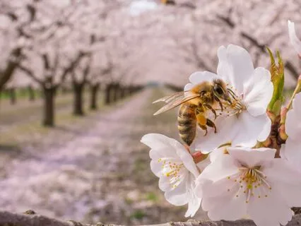 Release Hesitation To Delegate By Thinking Bigger