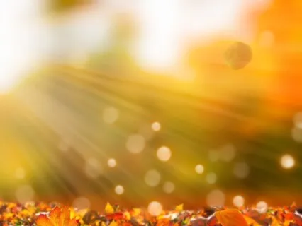 Release In Our Inner Fall (Luteal Phase)