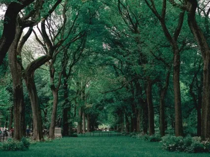 Release Inner Conflict And Struggle With 582 Hz