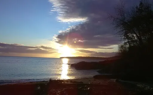 Release Into I AM Mother Nature Light Language 