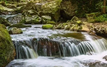 Release Into The River • A Guided NSDR Journey