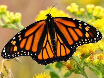 Release Karmic Patterns - From Fear To Freedom