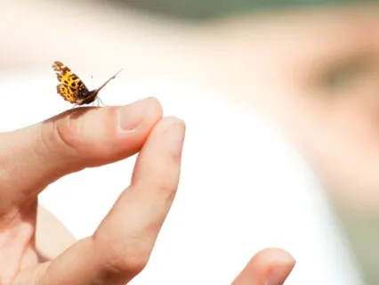 Release Limiting Beliefs