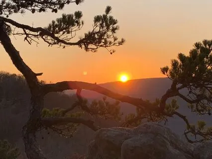 Release Limiting Beliefs And Embody Your Highest Self