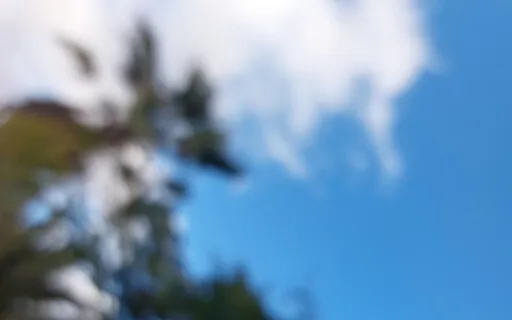 Release Limiting Beliefs: Inner Wounded Child Edition