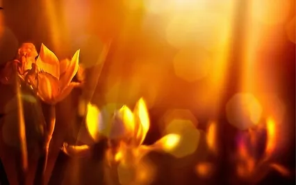 Release - Long Version 5 Min Fading End For Sleep