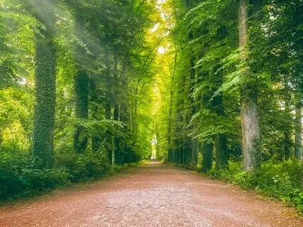 Release Meditation With Self Love And Past Life Work