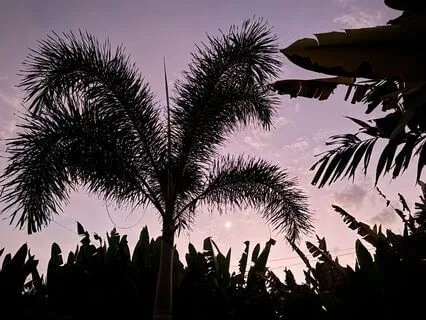 Release Money Guilt - EFT For Abundance & Self-Worth