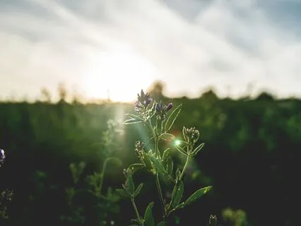 Release Morning Heaviness