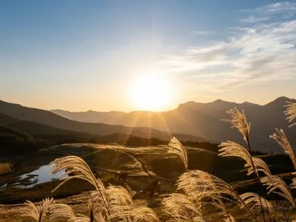 Release Negative Energy | 417 Hz Healing Music