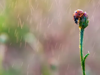 Release Negative Energy & Anxiety, Cultivate Positive Energy