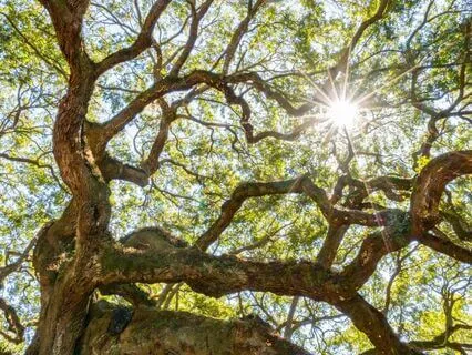 Release Negativity, Find Peace: Angelic Healing