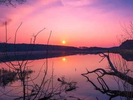 Release Of Melatonin And Toxin | Calm The Mind