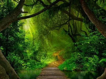 Release Old Paradigms! Empower New Visions 369 Hz + 999 Hz