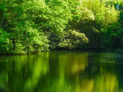 Release Pressure & Tension