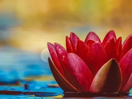 Release Procrastination Meditation: Your Dream Is Waiting