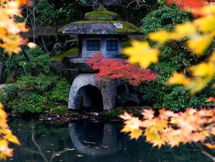 Release, Recharge & Renew: Your Daily Dose Of Inner Peace