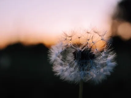 Release, Relax & Calm