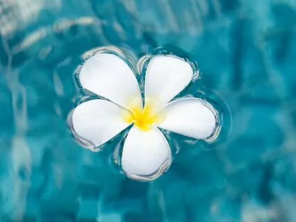 Release & Relax With A Quick Body Scan