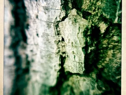 Release, Release, Relax