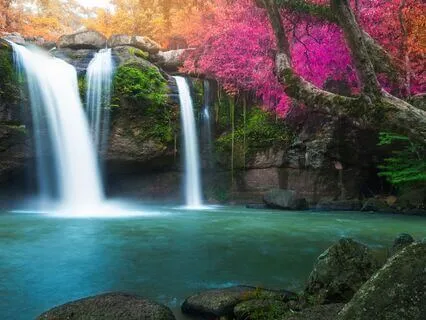 Release & Renew: Let Go & Choose Again