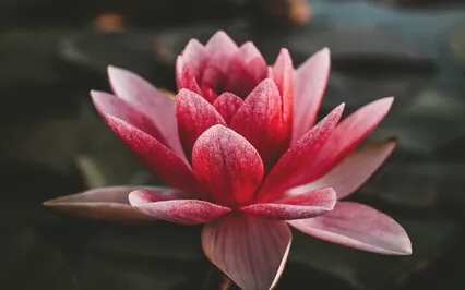 Release Resentment (Water Of Forgiveness Short Version)