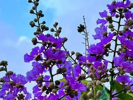 Release & Reset Outdoor Meditation