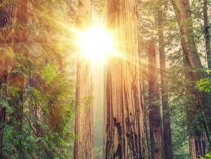 Release & Restore: Extended Exhale Practice