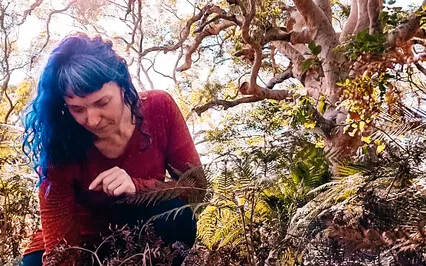 Release, Rot To Regenerate