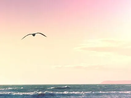 Release Self-Doubt & Open To Love