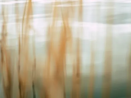 Release, Shift & Grow