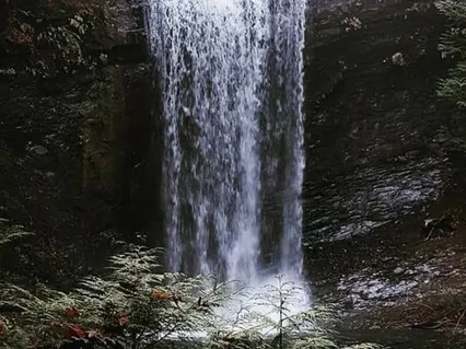 Release Stagnant Energy With A Crystal Singing Bowl Cleanse 